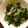 kockey's cooksnap of when they made ほうれん草のパルメザンチーズ炒め.