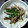 Lycheesoda's cooksnap of when they made さんま塩焼き♡みょうがの酢飯で頂きます♪.
