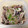 omyuo's cooksnap of when they made イカとシメジの生姜煮♪.