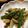 まぁ～ふぃー's cooksnap of when they made 茹で野菜の木の芽和えサラダ.
