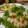 hirokyon2's cooksnap of when they made 我が家の鶏マヨ（新玉和え）.