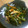 のじまさん's cooksnap of when they made 簡単♥大根の葉炒め♥.