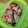K1TR1's cooksnap of when they made スチームケースで☆鮭と野菜のあっさり蒸し.