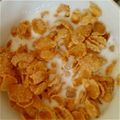 meatdumpli's cooksnap of when they made ☆コーンフレーク☆ハチミツと・・・・.