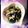 K0A9O0R8U♪'s cooksnap of when they made マヨに頼らない！水菜とひじきのサラダ.