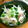 melon75's cooksnap of when they made もやしとささみの梅和え♪.