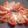yurietti's cooksnap of when they made トマトだけ！簡単こってりサラダ！.
