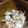 たこぐり's cooksnap of when they made 旬！生ひじきと新たまねぎのあっさりサラダ.