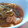 みことのおうち's cooksnap of when they made 春キャベツのとろとろスープ.