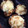 ずんこ！'s cooksnap of when they made シイタケのキムチーズ焼き.