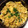 つぐみんと's cooksnap of when they made *\簡単たまねぎのたまごとじ丼/*.