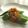 doiko's cooksnap of when they made 夏野菜と相性バツグン純正ごま油ソース.