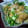 taka_yo's cooksnap of when they made 蓮根と里芋とエビのふわカリ揚げびたし.