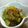 doiko's cooksnap of when they made ✿ゴーヤの辛い和え物✿.