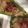 みかんカラー's cooksnap of when they made ピーマンギョウザ.
