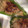 みかんカラー's cooksnap of when they made ピーマンギョウザ.