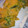 avi_7036's cooksnap of when they made かぼちゃとツナの中華和え。.