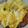 しおとも's cooksnap of when they made うちのお子ちゃまオムライス.