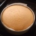 naomi666's cooksnap of when they made 失敗なし！サラダ油でスポンジケーキ☆.