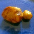 0310yayoi's cooksnap of when they made お弁当に☆冷凍里芋の味噌焼き.