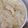 hozunyam's cooksnap of when they made 新玉ねぎ＆ムネ肉　さっぱり♪レンジ蒸し.
