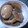 みえぴい's cooksnap of when they made 簡単煮卵＆煮豚.