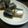 アレキサンドライト's cooksnap of when they made 我んとこの、さんまのしょうが煮.