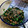 mutsu＊'s cooksnap of when they made 妊婦さんにも！春菊と納豆の和え物.