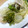 のじまさん's cooksnap of when they made 鶏肉と菜の花としめじのガーリック炒め.