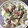 だやん。's cooksnap of when they made 超簡単☆ちくわときゅうりの胡麻マヨ.