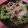 kana叶's cooksnap of when they made たけのこサラダ.