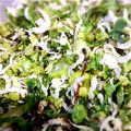ぱきらぐりーん's cooksnap of when they made 常備菜に＊大根の葉としらすのふりかけ風＊.