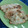 ジョージ．'s cooksnap of when they made 豚肉の梅シソはさみ焼き.