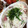 ちびた777's cooksnap of when they made まぐろ＆やまいもの和え物.