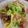 noamanma's cooksnap of when they made 簡単！ねぎと生ハムの贅沢なのに激安パスタ.