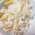 ようにゃんこ's cooksnap of when they made 今が旬！竹の子ご飯.
