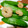 sanama0826's cooksnap of when they made スナップエンドウとエビのにんにく炒め.