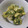 kana叶's cooksnap of when they made 筍と鶏の木の芽和え.