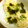 タイガー☆タイガー's cooksnap of when they made 簡単旨い！ネギ飯.