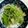 けあいちばん's cooksnap of when they made 即席！セロリの浅漬け.