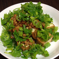 ハィさか's cooksnap of when they made 簡単！厚揚げ納豆 たっぷりネギまみれ☆.
