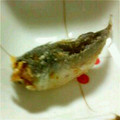 ぷよぷよ11's cooksnap of when they made 骨ごとサクサク♪豆あじの唐揚げ.