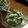 ぼのつま's cooksnap of when they made ブロッコリーの胡麻マヨヨーグルト和え.