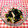 meikou626's cooksnap of when they made きゅうりハムわかめde酢の物.