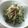 ☆shizu's cooksnap of when they made 簡単みょうがとキュウリ.