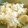 たいきち's cooksnap of when they made 簡単あっさり味のたけのこご飯。.