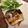 るーぶる子's cooksnap of when they made 簡単に美味しい　焼塩サバの甘酢がけ.
