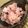 1214yui's cooksnap of when they made 白きくらげ・梅ゆかりで！桜花びら風酢の物.