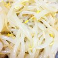 デコポン♪'s cooksnap of when they made おつまみに☆簡単ピリ辛もやしナムル.
