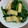 りのりのうさぎ's cooksnap of when they made 油揚げ入りほうれん草のごま和え.
